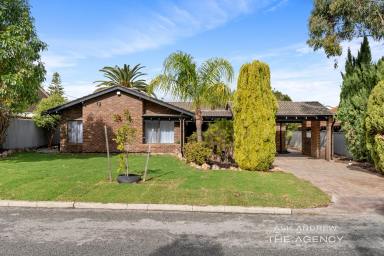 House For Sale - WA - Booragoon - 6154 - FANTASTIC LOCATION AND FUTURE DEVELOPMENT  (Image 2)