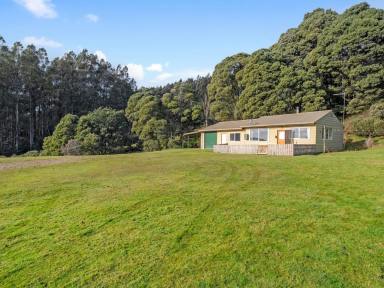 Lifestyle For Sale - TAS - Erriba - 7310 - Country Retreat only 30 Minutes from Cradle Mountain (Image 2)