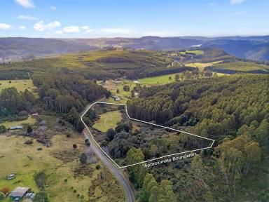 Lifestyle For Sale - TAS - Erriba - 7310 - Country Retreat only 30 Minutes from Cradle Mountain (Image 2)