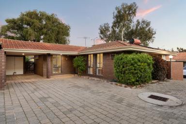Villa For Sale - WA - Wilson - 6107 - Value Packed Villa With Style and Space (Image 2)