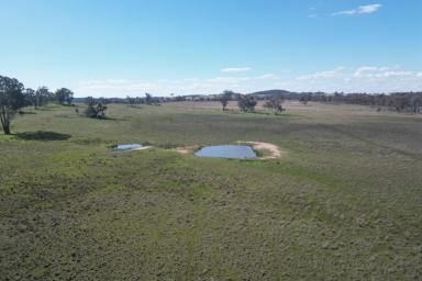 Other (Rural) For Sale - NSW - Gulgong - 2852 - THE TRIANGLE - PRIME RURAL HOLDING  (Image 2)
