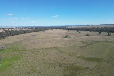 Other (Rural) For Sale - NSW - Gulgong - 2852 - THE TRIANGLE - PRIME RURAL HOLDING  (Image 2)