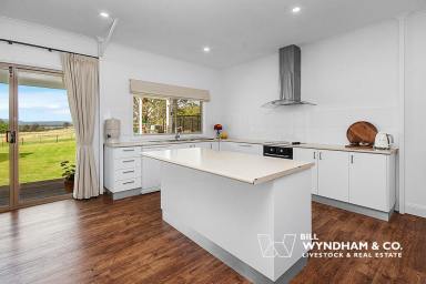House For Lease - VIC - Lindenow South - 3875 - Modern Comfort Meets Country Serenity - PRICE REDUCTION (Image 2)