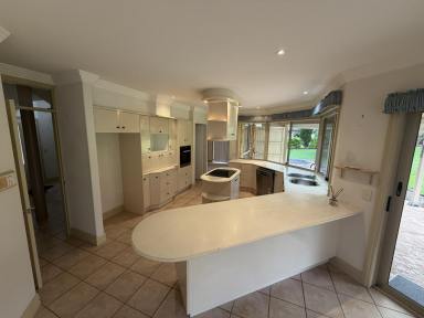 House For Lease - NSW - Junction Hill - 2460 - Expansive Family Home with Great Outdoor Space  (Image 2)