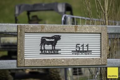 Lifestyle Auction - NSW - Dorrigo - 2453 - Balvenie Estate - Beautifully Appointed Homestead with Impressive Rural Vistas. (Image 2)