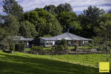Lifestyle For Sale - NSW - Dorrigo - 2453 - Balvenie Estate - Beautifully Appointed Homestead with Impressive Rural Vistas.  (Image 2)