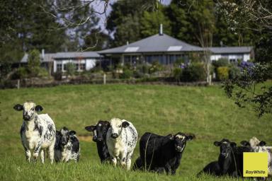 Lifestyle Auction - NSW - Dorrigo - 2453 - Balvenie Estate - Beautifully Appointed Homestead with Impressive Rural Vistas. (Image 2)