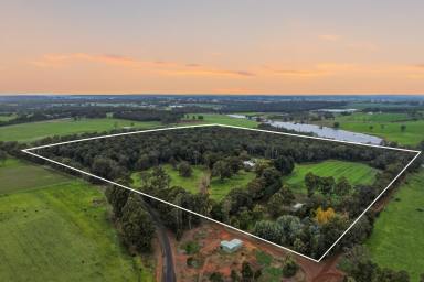 Other (Rural) For Sale - WA - Manjimup - 6258 - Warrick Hill Farm | Offered for the First Time in Almost 40 Years (Image 2)