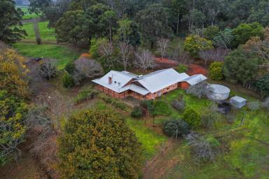 Other (Rural) For Sale - WA - Manjimup - 6258 - Warrick Hill Farm | Offered for the First Time in Almost 40 Years (Image 2)