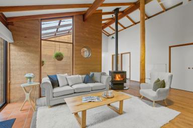 Other (Rural) For Sale - WA - Manjimup - 6258 - Warrick Hill Farm | Offered for the First Time in Almost 40 Years  (Image 2)