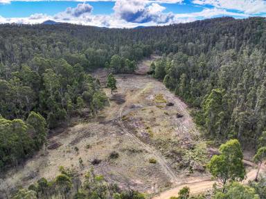 Lifestyle For Sale - NSW - Kelgoola - 2849 - Lot 9 & 36 - Peaceful Rural Retreat – 100 Acres with Cudgegong River Frontage  (Image 2)