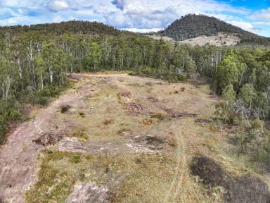 Lifestyle For Sale - NSW - Kelgoola - 2849 - Lot 9 & 36 - Peaceful Rural Retreat – 100 Acres with Cudgegong River Frontage  (Image 2)