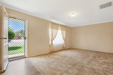 House For Lease - NSW - Tamworth - 2340 - Tidy Three Bedroom South Tamworth (Image 2)