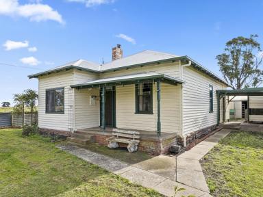 Livestock For Sale - VIC - Ondit - 3249 - PRODUCTIVE SMALL FARM WITH COMFORTABLE COUNTRY LIVING  (Image 2)