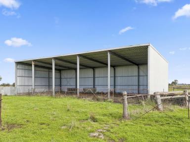 Livestock For Sale - VIC - Ondit - 3249 - PRODUCTIVE SMALL FARM WITH COMFORTABLE COUNTRY LIVING  (Image 2)