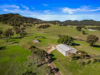 Lifestyle For Sale - NSW - Singleton - 2330 - Lifestyle Property with Expansive Views and Considerable Infrastructure  (Image 2)