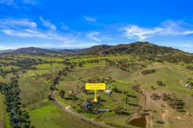 Lifestyle For Sale - NSW - Singleton - 2330 - Lifestyle Property with Expansive Views and Considerable Infrastructure  (Image 2)