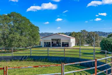 Lifestyle For Sale - NSW - Singleton - 2330 - Lifestyle Acreage with Expansive Views and Versatile Infrastructure  (Image 2)