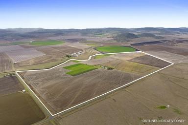 Cropping For Sale - QLD - Manapouri - 4361 - "GLENCOE"  (Image 2)
