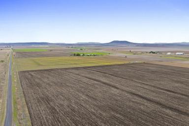 Cropping For Sale - QLD - Manapouri - 4361 - "GLENCOE"  (Image 2)