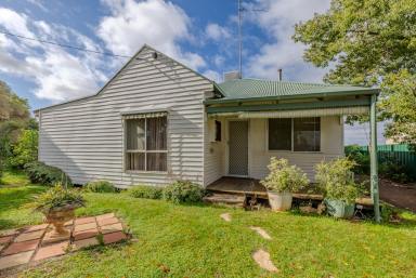 House For Sale - VIC - Birchip - 3483 - Don't miss this affordable Birchip gem!  (Image 2)