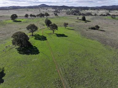 Mixed Farming For Sale - NSW - Yass - 2582 - A Unique Rural Lifestyle Opportunity with Subdivision Potential  (Image 2)