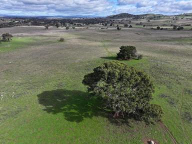 Mixed Farming For Sale - NSW - Yass - 2582 - A Unique Rural Lifestyle Opportunity with Subdivision Potential  (Image 2)