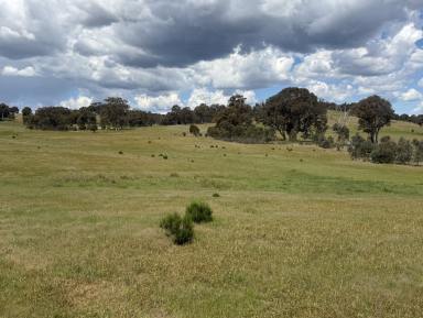 Mixed Farming For Sale - NSW - Yass - 2582 - Lifestyle and Mixed Grazing Opportunity with Subdivision Upside  (Image 2)
