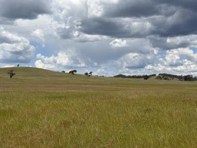 Mixed Farming For Sale - NSW - Yass - 2582 - Lifestyle and Mixed Grazing Opportunity with Subdivision Upside  (Image 2)