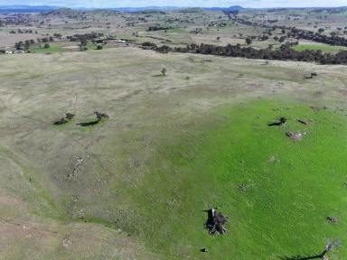 Mixed Farming For Sale - NSW - Yass - 2582 - Lifestyle and Mixed Grazing Opportunity with Subdivision Upside  (Image 2)
