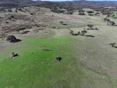 Mixed Farming For Sale - NSW - Yass - 2582 - Lifestyle and Mixed Grazing Opportunity with Subdivision Upside  (Image 2)