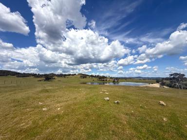 Mixed Farming For Sale - NSW - Yass - 2582 - Lifestyle, Grazing and Subdivision Potential on the Southern Tablelands  (Image 2)