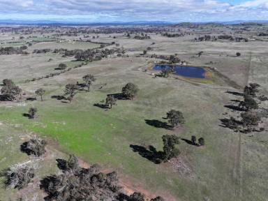 Mixed Farming For Sale - NSW - Yass - 2582 - Lifestyle, Grazing and Subdivision Potential on the Southern Tablelands  (Image 2)