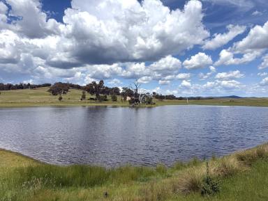 Mixed Farming For Sale - NSW - Yass - 2582 - Lifestyle, Grazing and Subdivision Potential on the Southern Tablelands  (Image 2)
