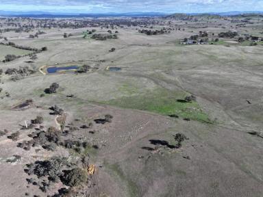 Mixed Farming For Sale - NSW - Yass - 2582 - Lifestyle, Grazing and Subdivision Potential on the Southern Tablelands  (Image 2)