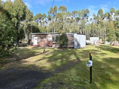 House For Sale - TAS - Bradys Lake - 7140 - Relaxed Lakeside Living with Dual Shack Potential - Brady's Lake  (Image 2)