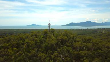 Residential Block For Sale - QLD - Cardwell - 4849 - Peaceful Acreage Living Just Minutes from Cardwell  (Image 2)