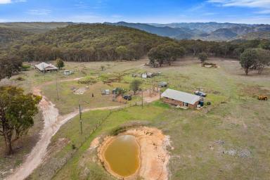 Lifestyle Sold - NSW - Hargraves - 2850 - 568HA, TWO HOUSES, VIEWS AND ENDLESS ADVENTURES (Image 2)