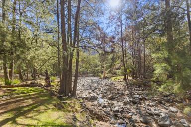 Lifestyle Sold - NSW - Hargraves - 2850 - 568HA, TWO HOUSES, VIEWS AND ENDLESS ADVENTURES (Image 2)