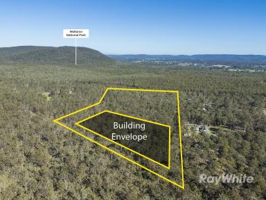 Residential Block For Sale - NSW - Clarence Town - 2321 - 25-Acre Private Bush Retreat with Large Building Envelope.  (Image 2)