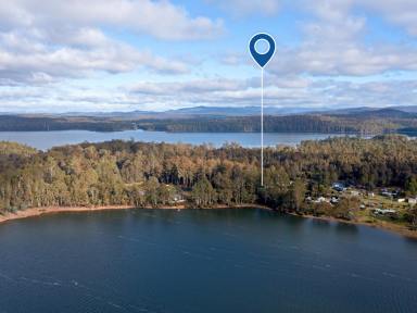 House For Sale - TAS - Bradys Lake - 7140 - "Dalpura" - Calm Waters, Timeless Escape  (Image 2)