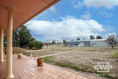House For Sale - NSW - Deepwater - 2371 - A Home with Room for Everyone and Everything (Image 2)