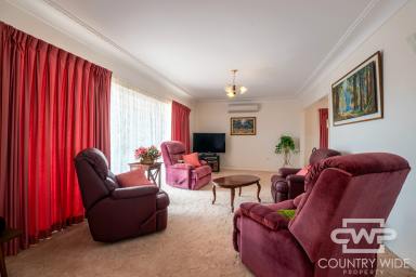 House For Sale - NSW - Deepwater - 2371 - A Home with Room for Everyone and Everything (Image 2)