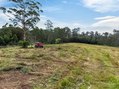 Lifestyle For Sale - NSW - Gloucester - 2422 - Your Private Wilderness Escape – 356ha (Approx. 881 Acres)  (Image 2)