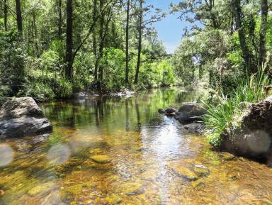Lifestyle For Sale - NSW - Gloucester - 2422 - Your Private Wilderness Escape – 356ha (Approx. 881 Acres)  (Image 2)