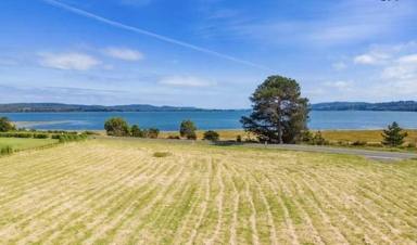 Other (Rural) For Sale - TAS - Swan Bay - 7252 - Cleared Flat Block with Uninterrupted Views over the Tamar River  (Image 2)