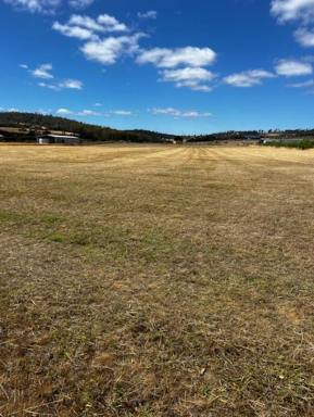 Other (Rural) For Sale - TAS - Swan Bay - 7252 - Cleared Flat Block with Uninterrupted Views over the Tamar River  (Image 2)