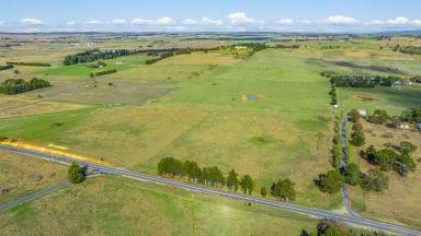 Residential Block For Sale - NSW - Brisbane Grove - 2580 - Rare Opportunity - Land for Sale in Brisbane Grove! (Image 2)