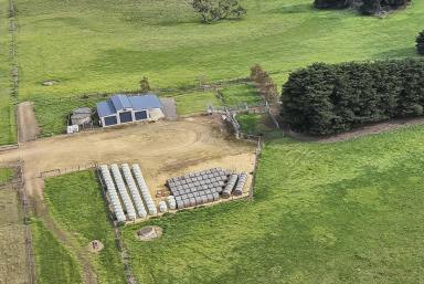 Mixed Farming For Sale - VIC - Heywood - 3304 - ONLINE AUCTION - Fri 31 July 2026 @ 1:00pm  (Image 2)