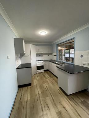 House For Lease - NSW - Iluka - 2466 - 3 BEDROOM COTTAGE WITH SEPERATE STUDIO  (Image 2)